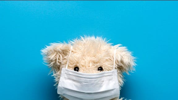 Teddybär trägt Grippe-Maske.