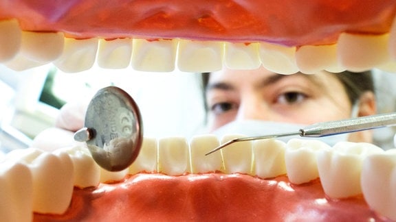 Eine Zahnarzthelferin sitzt in einer Zahnarztpraxis hinter einem künstlichen, überdimensionierten Gebiss.