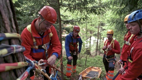 Eine Gruppe der Bergwacht an einem Waldhang befestigt eine Transporttrage an einem Baum mit Seilen und Karabinern.