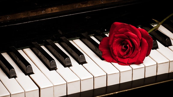 Eine Rote Rose liegt auf einer Klaviatur.