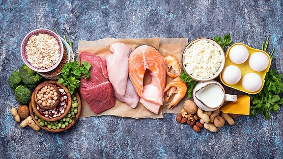 Gesunde Lebensmittel mit hohem Proteingehalt. Fleisch, Fisch, Milchprodukte, Nüsse und Bohnen