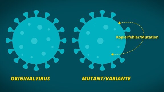 Infografik. Vereinfachte Darstellung zeigt zwei Coronaviren: Bälle mit markanten Krönchen bzw. Stöpseln darauf. Erster Virus mit Beschriftung "Originalvirus". Zweiter Virus mit Beschriftung "Variante/Mutant". Auf dem zweiten Virus sind weniger Stöpsel zu sehen. Pfeile zeigen darauf mit Beschritung "Kopierfehler/Mutation".