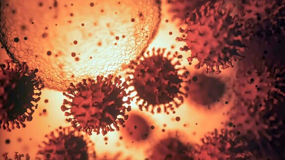 Epidemische Viruspartikel, Konzeptgrafik