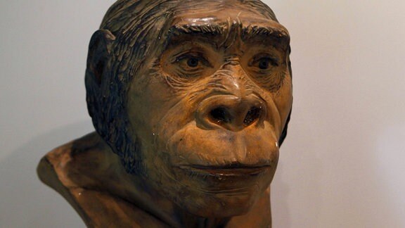 Kopf eines Homo heidelbergensis
