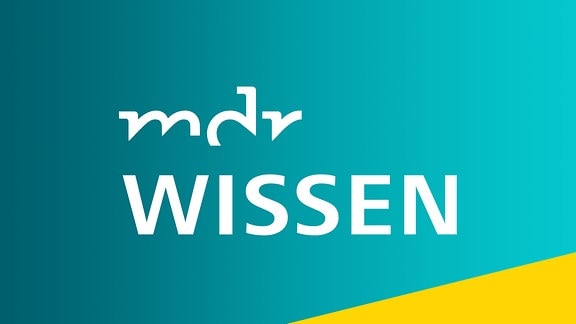 MDR Wissen - Logo