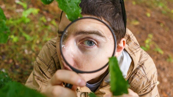 Ein junger Mann schaut durch eine Lupe Blätter an einem Baum an.