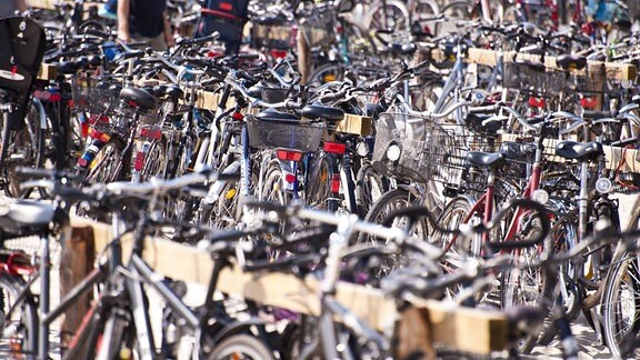 Viele Fahrräder sind an Fahrradständern aus Holz angelehnt, Räder im Vordergrund unscharf
