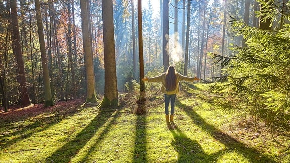 Eine Frau geht im Herbst durch den Wald spazieren